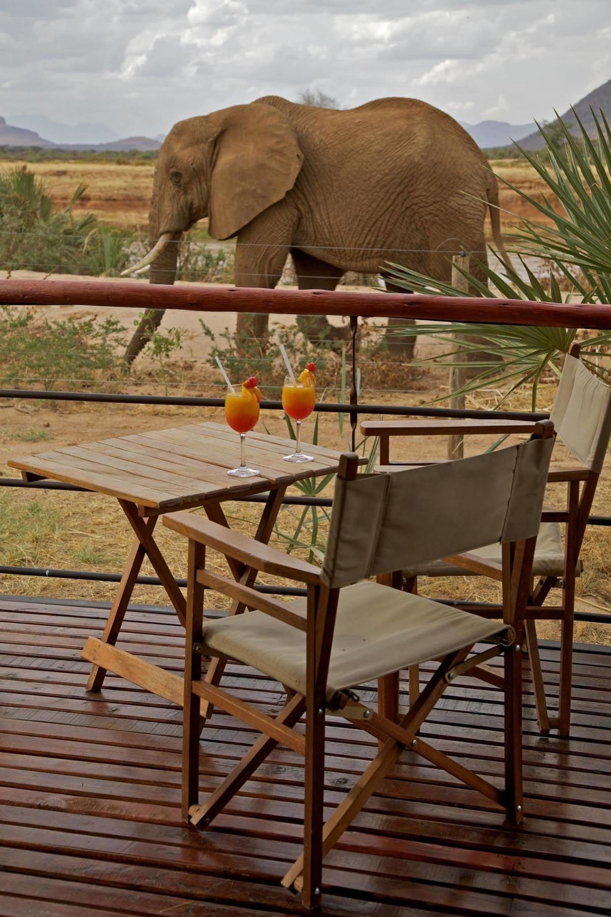 Ashnil Samburu Camp Hotel Екстериор снимка